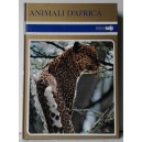 ANIMALI D'AFRICA - Curciorama   (per ragazzi)
