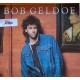 Bob  GELDOF  -  Locandina come  nuova   (30,0   X  42,0  cm. circa)