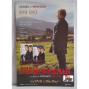 PHILOMENA -  Cartello  da terra promo film DVD    2013   -  Usato