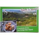 2 Cartoline  COOP  "Sapori, si mangia! " Veneto (con ricette sul retro / nuove )