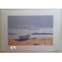 A. MOLTENI -   acquerello    stampa       (34,0   X  24,0  cm. )   Nuovo