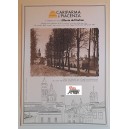 "Cartolina  storica di REGGIO EMILIA  " collezione  del    il RESTO  del CARLINO  (VIALE UMBERTO I)  