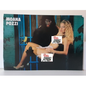 MOANA POZZI - Cartolina Promozionale (ITALIAN SUPERSTARS / nuova)