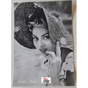SOPHIA    LOREN   -   Foto  -  Cartolina  in  B/N      (nuova )