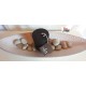 PORTACANDELA  decorativo per la casa SIA HOME FASHION   (Nuovo)