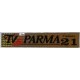 TV PARMA  Canale 21  -  adesivo olografico  originale  anno '70  / 19,5 X 3,5 cm