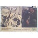 Edoardo BENNATO  "EDO RINNEGATO"    vetrofania   promo dell 'album  1990