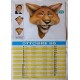 Calendario  "SORRISI & CANZONI Tv"  1988  caricature personaggi  di  spettacolo