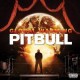 PITBULL -  Global warming